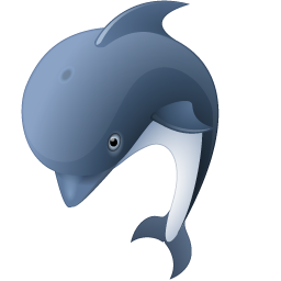 Dramatic Dolphin